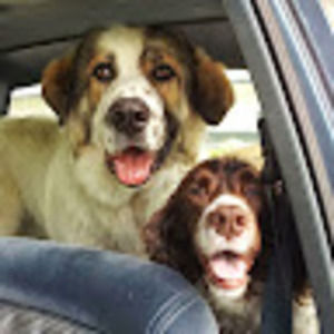 Meet your Posher, Meagan